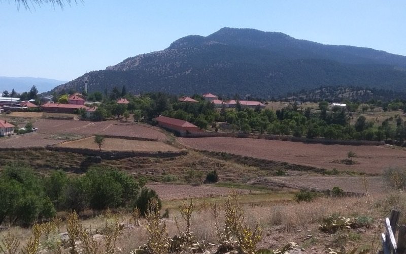 Dazkırı boyacı