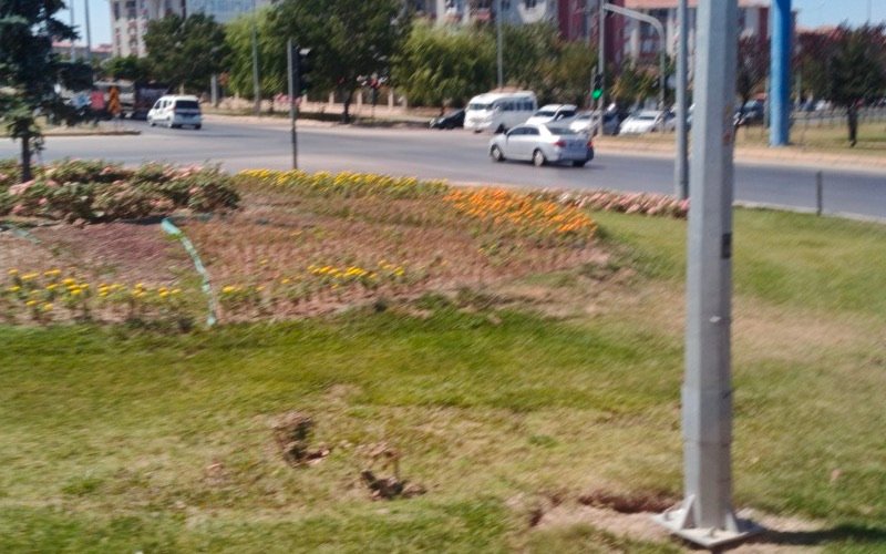 Afyonkarahisar Merkez boyacı